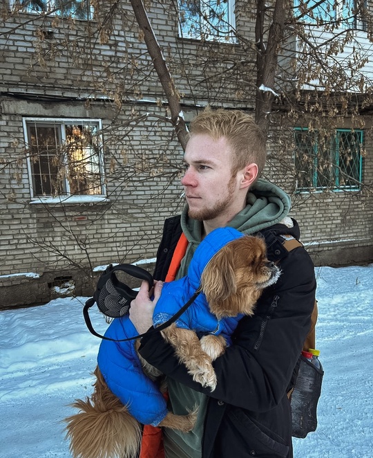 Объявление Alexander