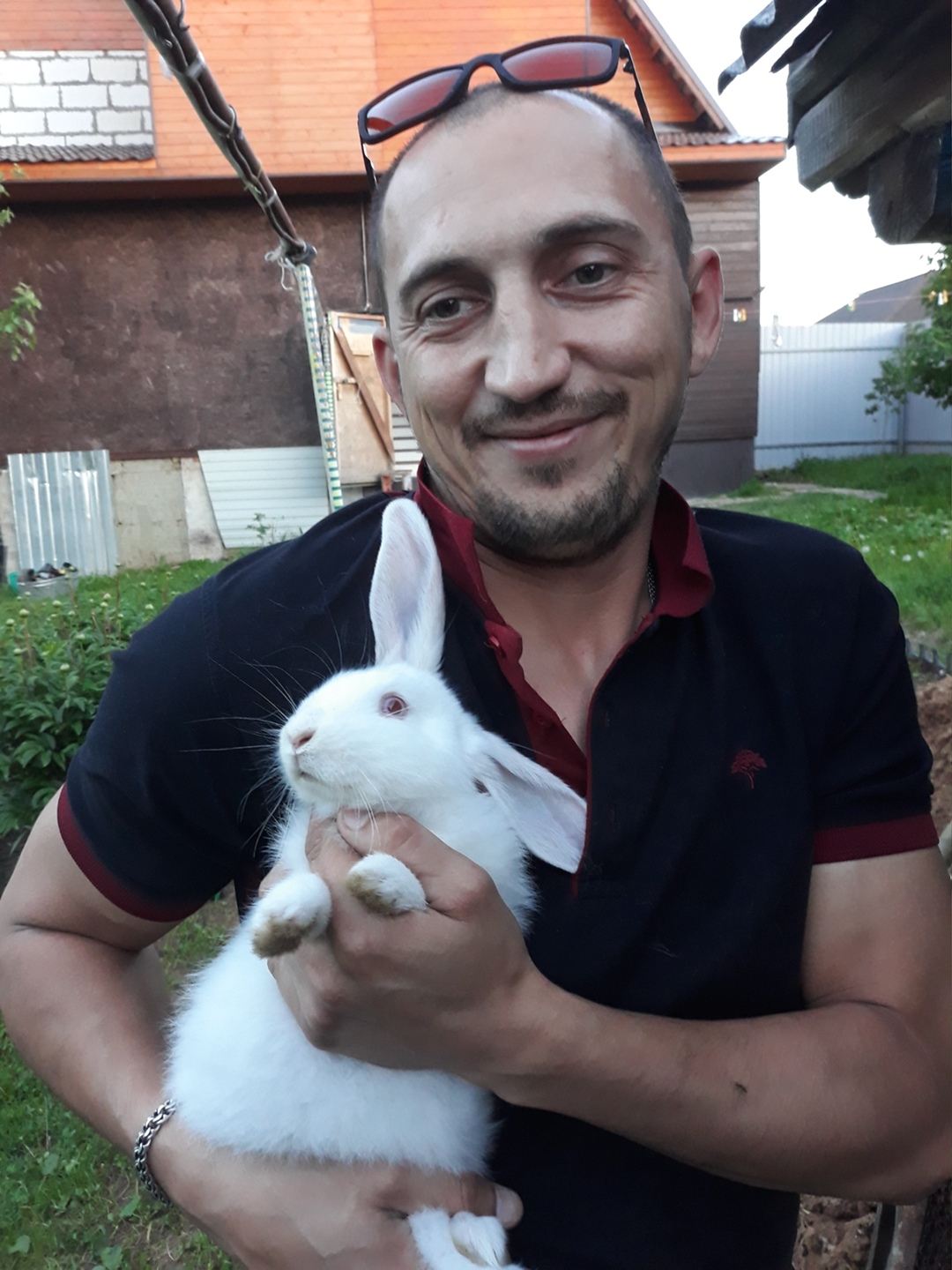 Объявление Алексей